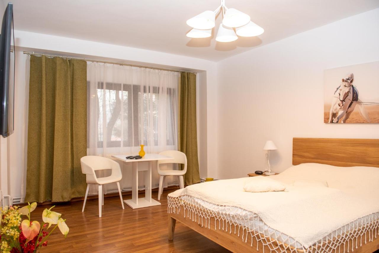 Classic Apartment Near The City Center Kluž Exteriér fotografie