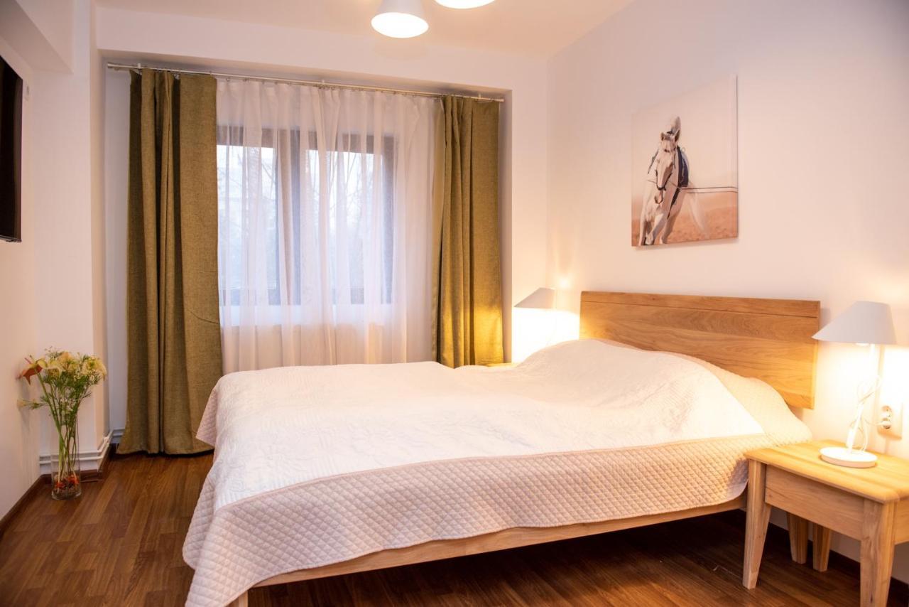 Classic Apartment Near The City Center Kluž Exteriér fotografie