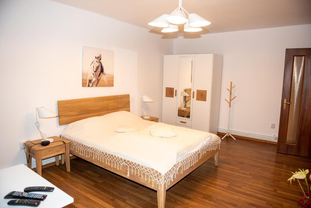Classic Apartment Near The City Center Kluž Exteriér fotografie